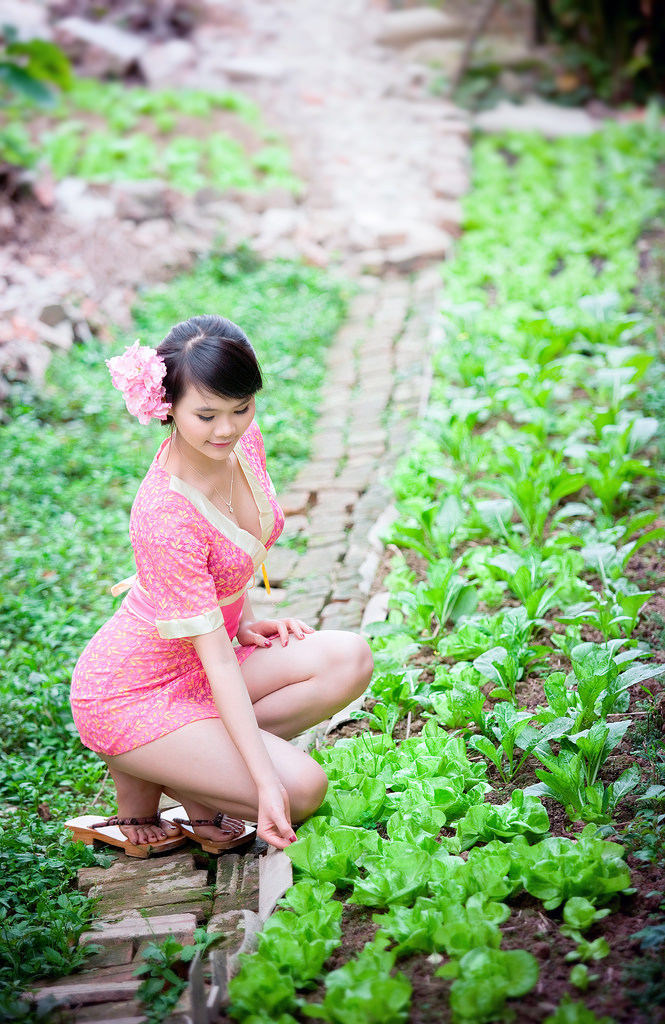 《租借女友》动漫第二季